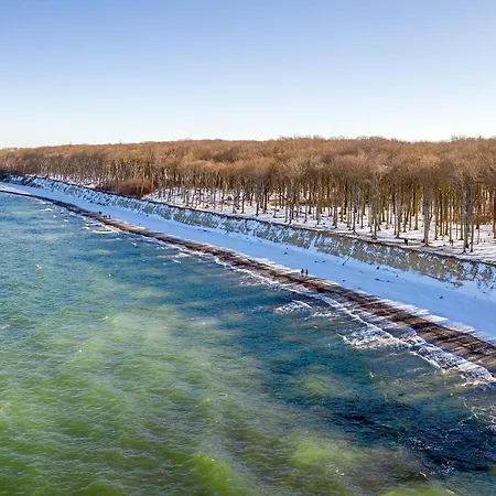 Duenenrose 4 Wolkenlos *