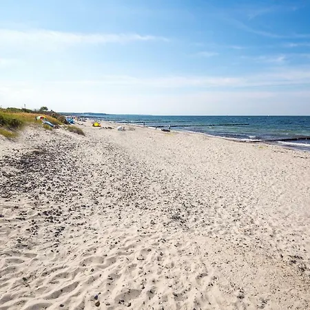 Duenenrose 4 Wolkenlos Börgerende-Rethwisch