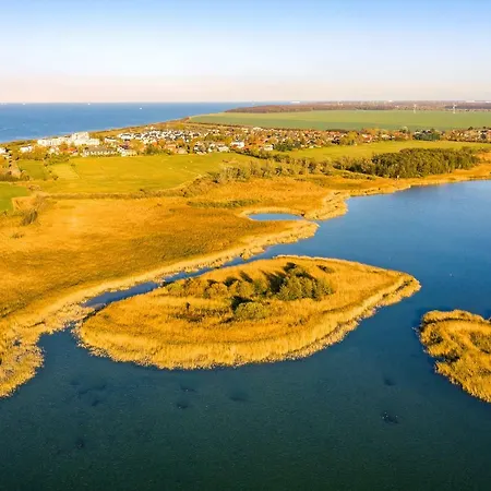 Duenenrose 4 Wolkenlos *