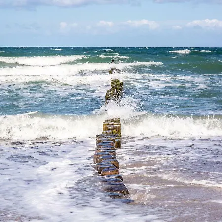 Duenenrose 4 Wolkenlos