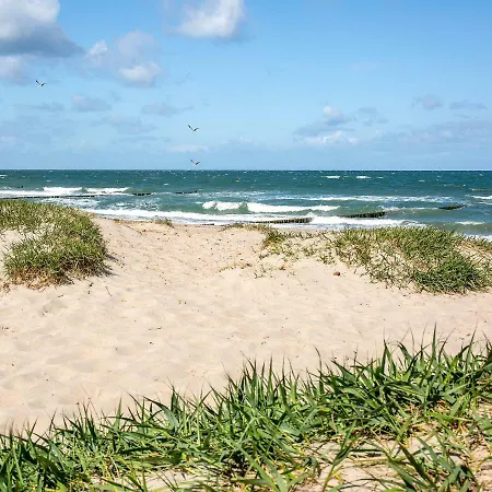 Duenenrose 4 Wolkenlos Börgerende-Rethwisch