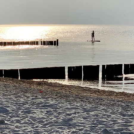 Duenenrose 4 Wolkenlos Börgerende-Rethwisch