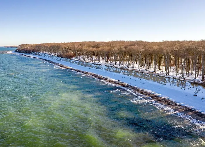 Dünenrose 4 Wolkenlos *