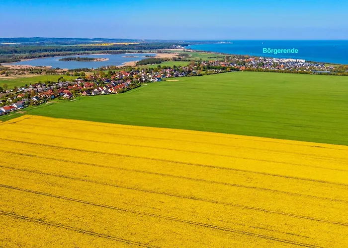Daire Dünenrose 4 Wolkenlos