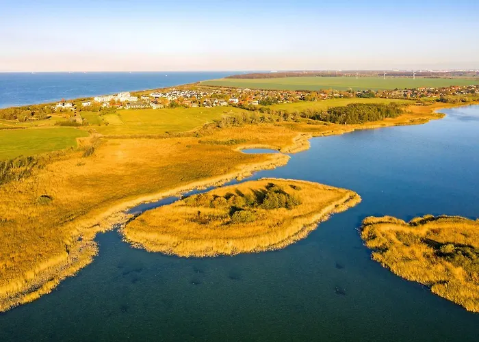 Dünenrose 4 Wolkenlos *