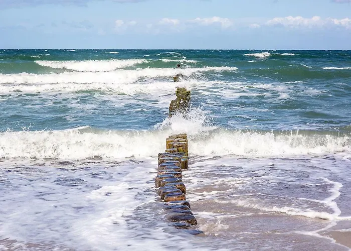 Dünenrose 4 Wolkenlos