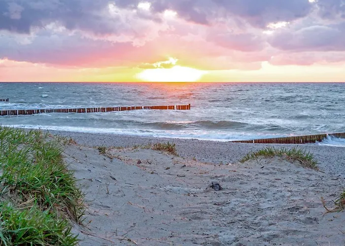 Dünenrose 4 Wolkenlos Daire