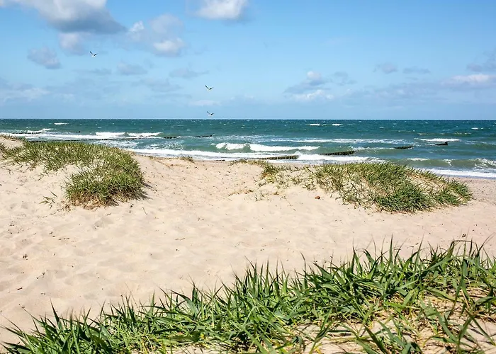 Dünenrose 4 Wolkenlos Börgerende-Rethwisch