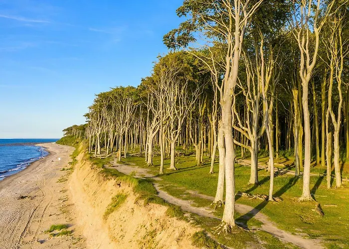 Daire Dünenrose 4 Wolkenlos