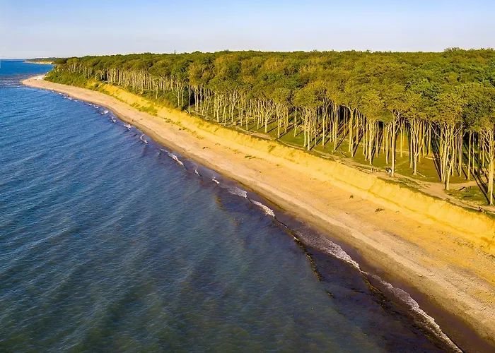 Daire Dünenrose 4 Wolkenlos