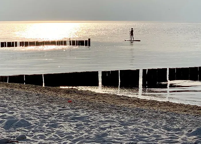 Dünenrose 4 Wolkenlos Börgerende-Rethwisch